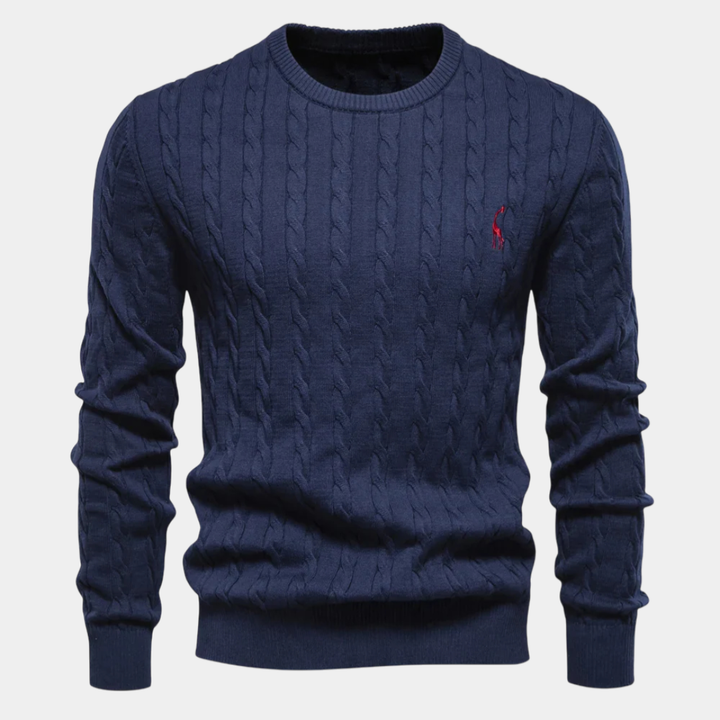 Rogier | Pull Élégant pour Hommes