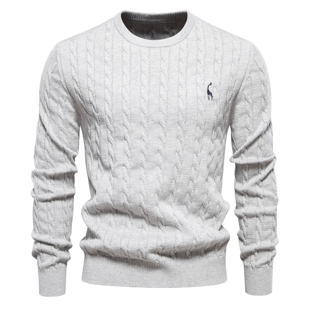 Rogier | Pull Élégant pour Hommes