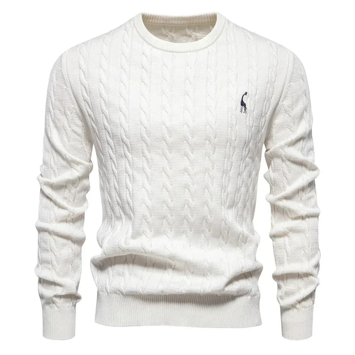 Rogier | Pull Élégant pour Hommes
