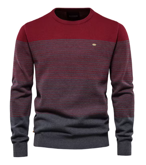 Raymond | Pull Élégant pour Hommes